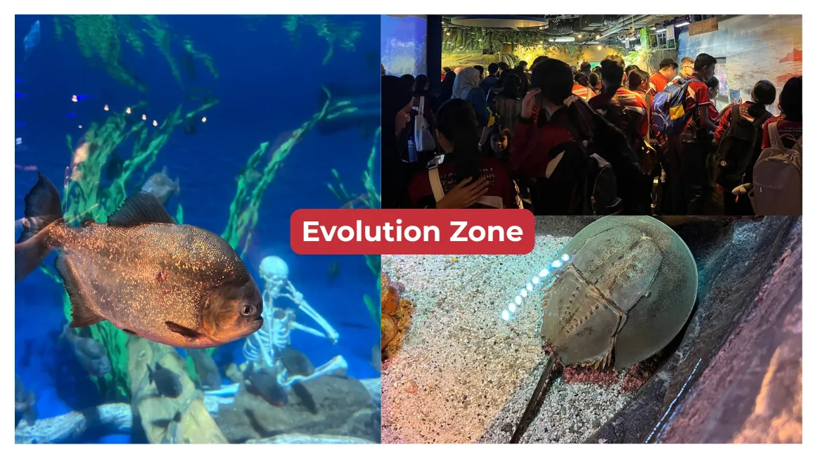 Evolution Zone Aquaria KLCC